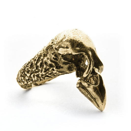AQUILA BRONZE RING