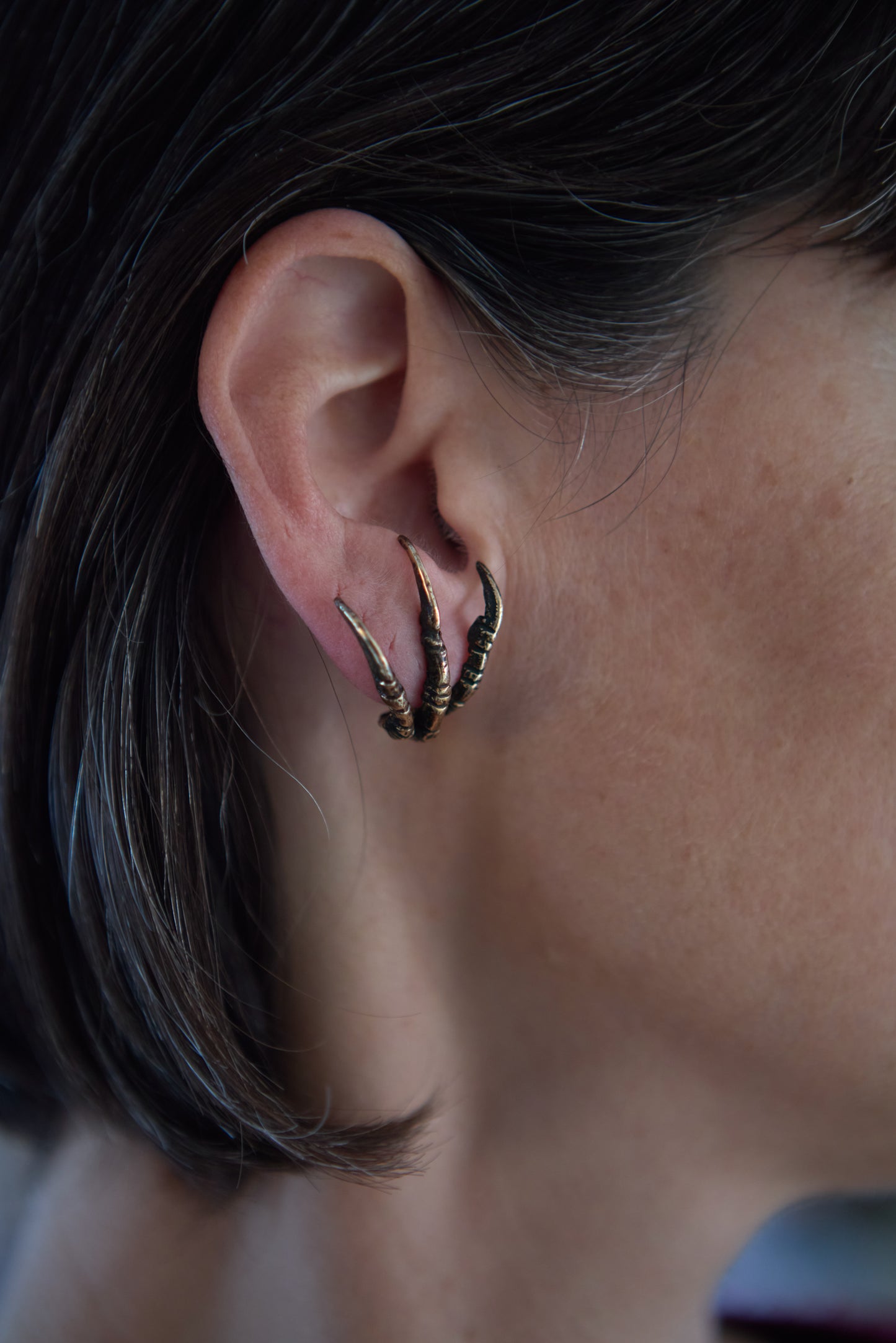 CORVUSCRUX BRONZE STUDS