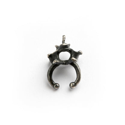 SEPTUM